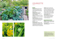 Un potager productif et naturel
