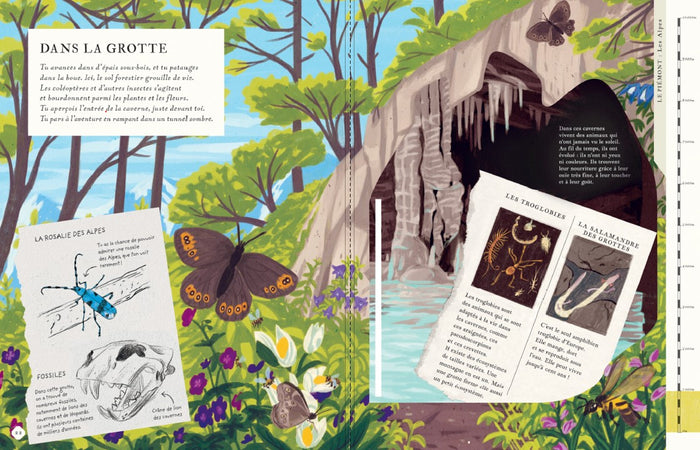 Il y a une montagne dans ce livre