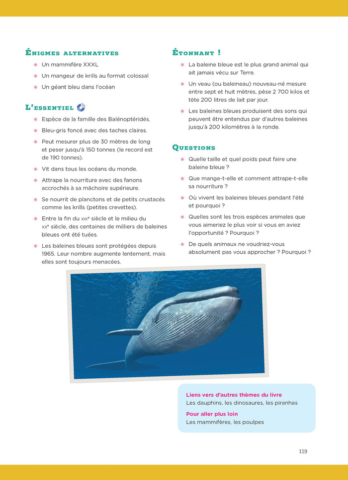 Une énigme par jour - Grej of the day - Cycle 3