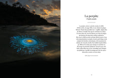 Le monde étrange et fascinant des méduses