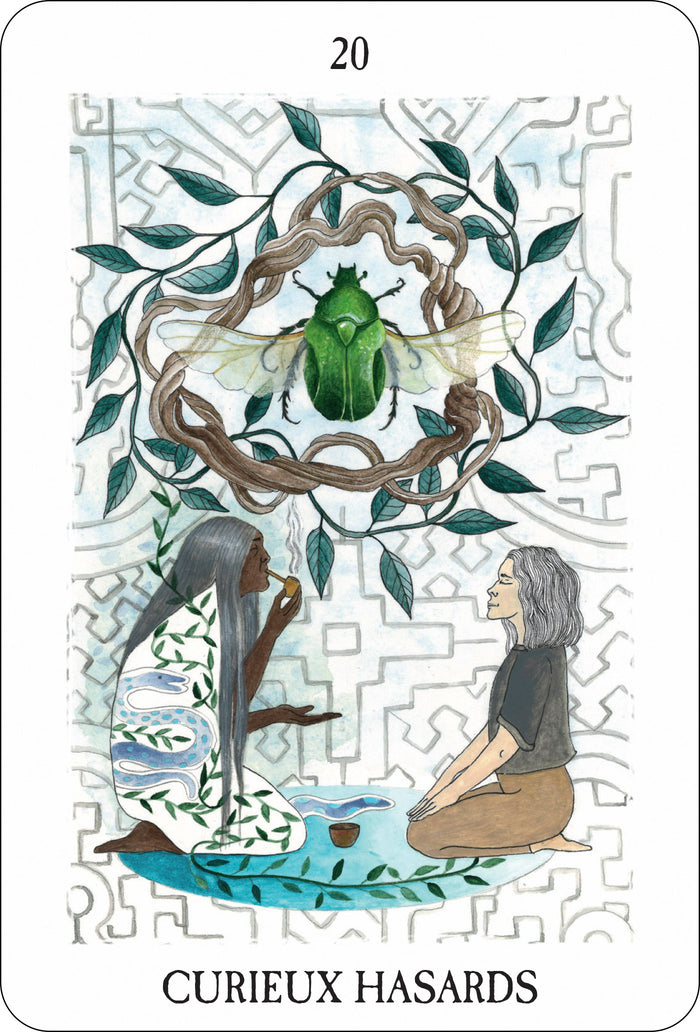 L'oracle des curieux hasards