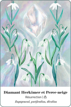 L'oracle alchimique de la Terre