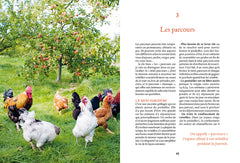 Elever des poules - Des alliés vers l'autonomie