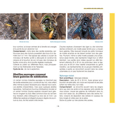 Construire son hôtel à insectes