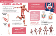 Le corps humain