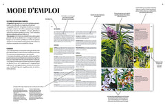 Encyclopédie des plantes d'intérieur