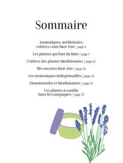 Un jardin santé - Aromates et plantes à tisanes