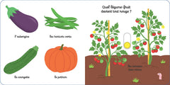 Mon Imagier des légumes