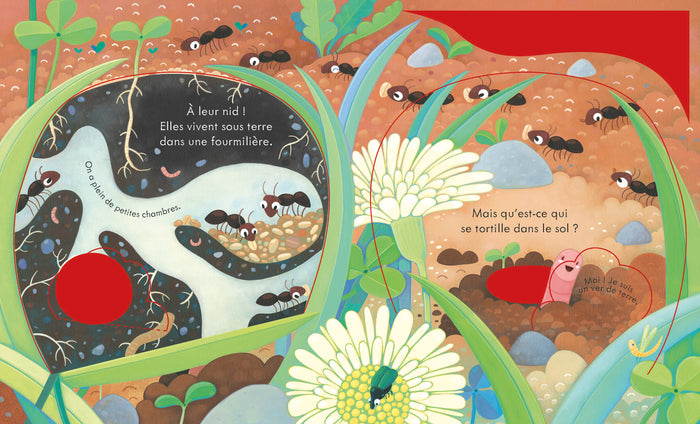 Sous la terre - Coucou !