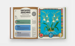 Superplantes superpouvoirs