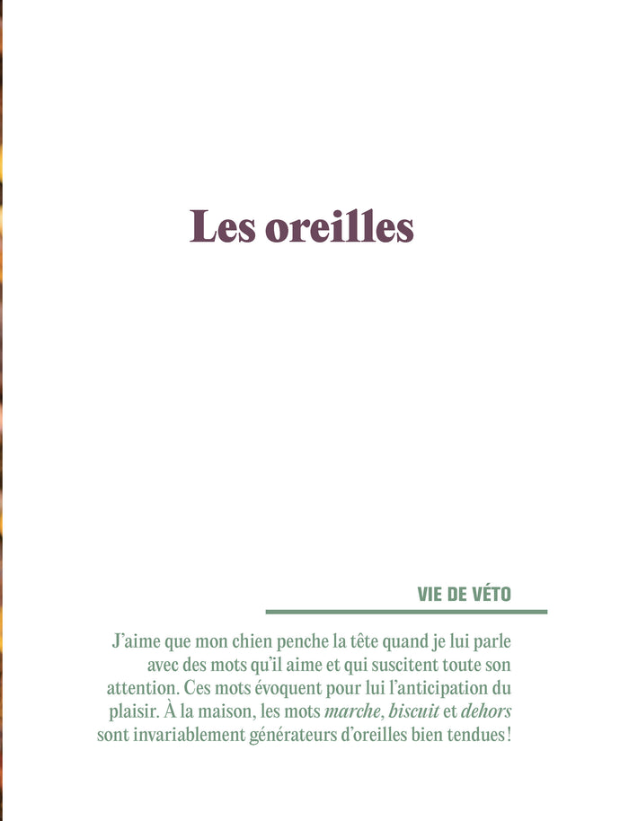 Je protège mon chien - Guide pratique pour mieux comprendre la santé et mon animal