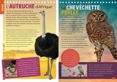100 espèces d'oiseaux à découvrir