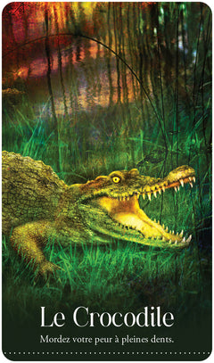 L'oracle des animaux rêvés - Libérez votre nature sauvage !