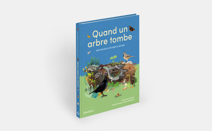 Quand un arbre tombe