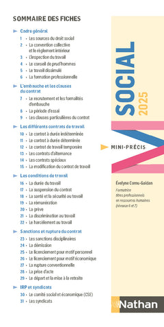Social 2025 - Mini-Précis