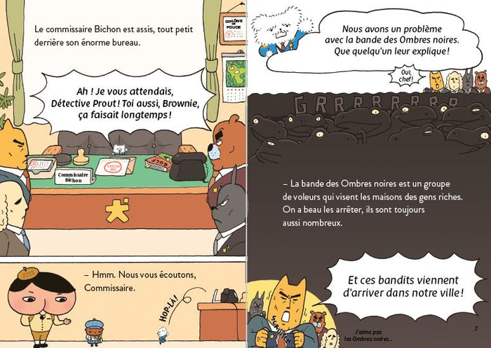 Détective Prout - Tome 3 L'énigme des voleurs insaisissables