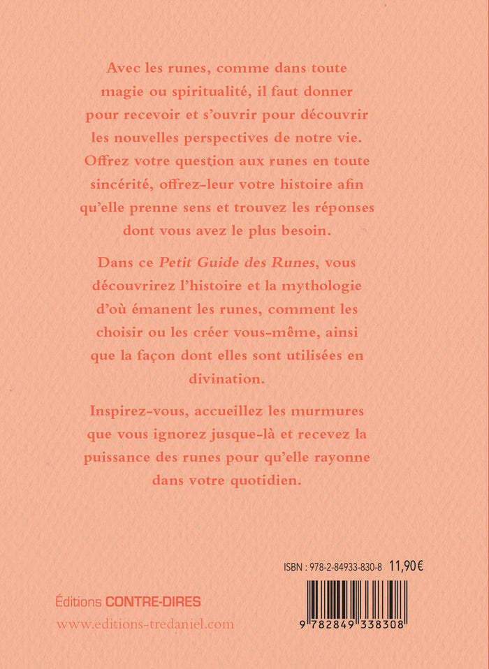 Le petit guide des runes