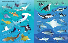 Les requins et les raies