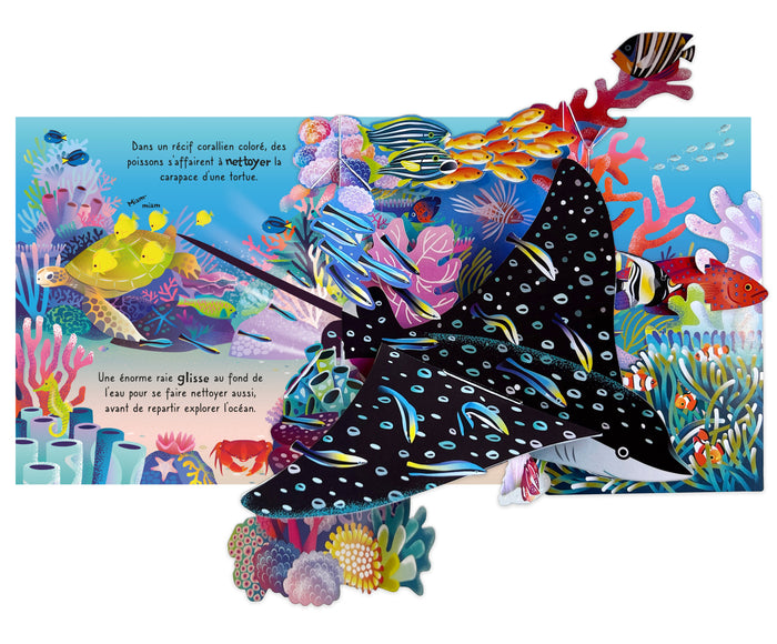 L'océan - Mon livre pop-up