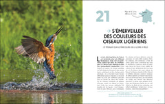 Les plus beaux lieux pour voir la vie sauvage en France