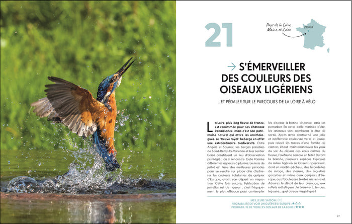 Les plus beaux lieux pour voir la vie sauvage en France