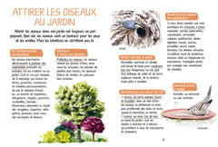 Découvrir les oiseaux de nos jardins