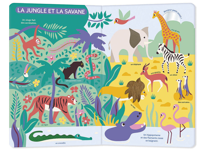 Mon très grand livre d'éveil - Autour du monde