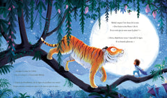 Mehdi et le tigre des inquiétudes