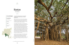 L'Atlas des arbres - Un incroyable tour du monde végétal