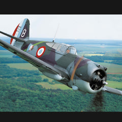 Warbirds - Les avions militaires de collection en vol