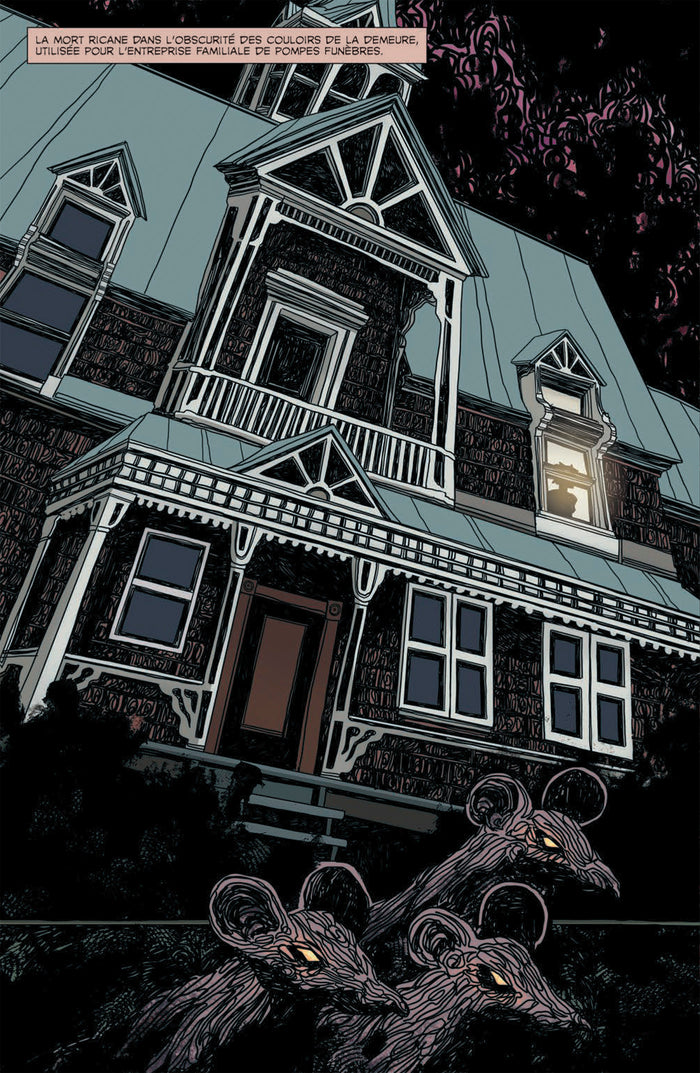 Cendrillon - Roman graphique