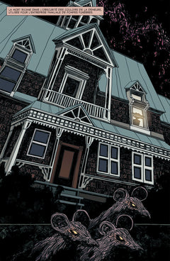 Cendrillon - Roman graphique