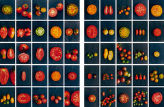 Le Conservatoire de la Tomate - Savoir-faire de La Bourdaisière &middot; 50 variétés à cultiver