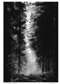La forêt qui dévore