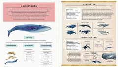 La vie secrète des baleines