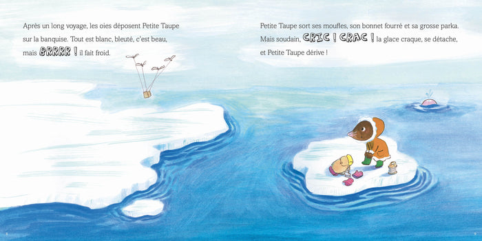 Mes merveilleuses histoires de petite taupe