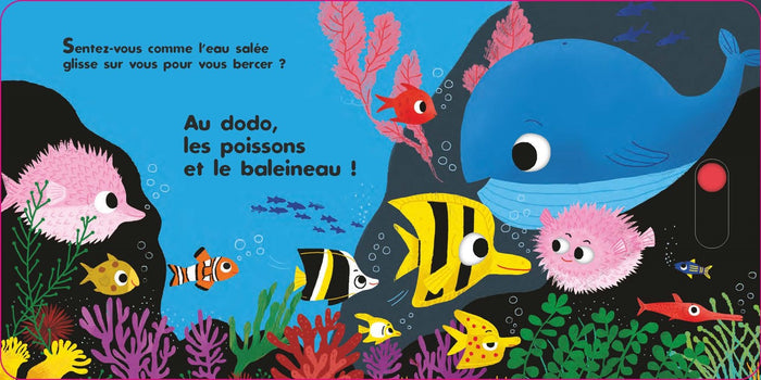 Au dodo - les amis de la mer