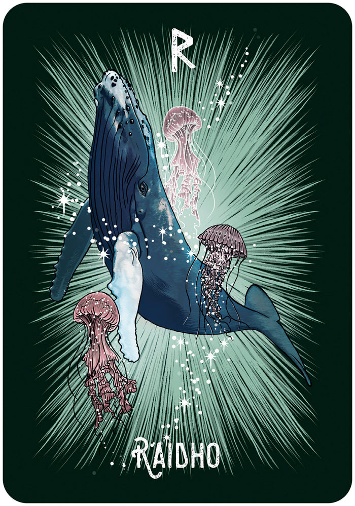 Coffret l'Oracle runique des animaux