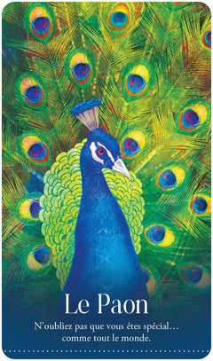 L'oracle des animaux rêvés - Libérez votre nature sauvage !