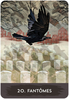 Coffret Oracle du corbeau