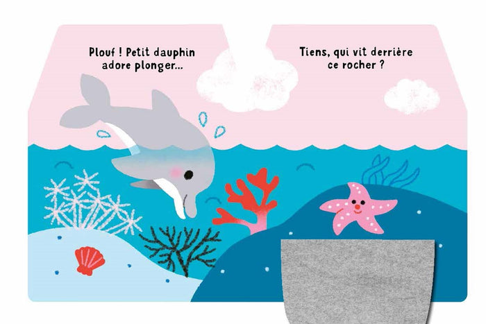 Cache-cache petit dauphin