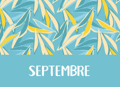 Mon année de prof d'élémentaire avec Lutin Bazar