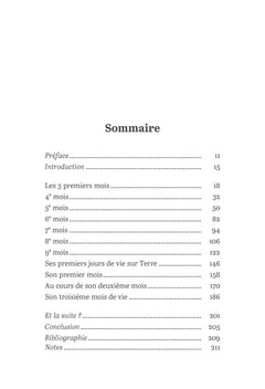 La Voix de l'âme : dialogues avec mon bébé in utero