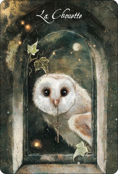 L'Oracle des Oiseaux messagers