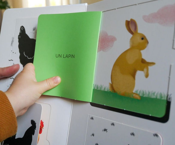 Imagier des animaux - Qui se cache derrière les flaps ?