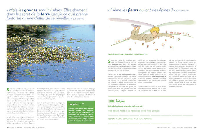 Sauver la planète en jouant avec le Petit Prince