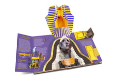 Toutankhamon - L'enfant pharaon