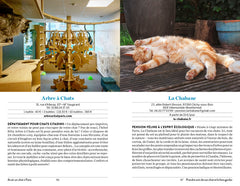 Avoir un chat à Paris - Santé, toilettage, pattucure, cat-sitting et psy-chat-nalyse...