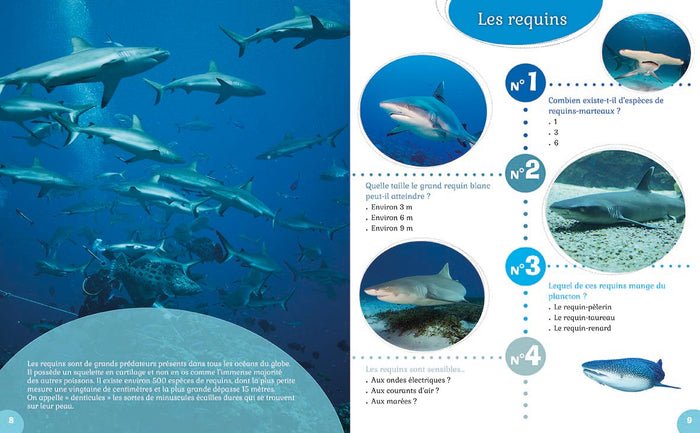 Les animaux des mers