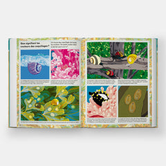 La vie secrète des coquillages